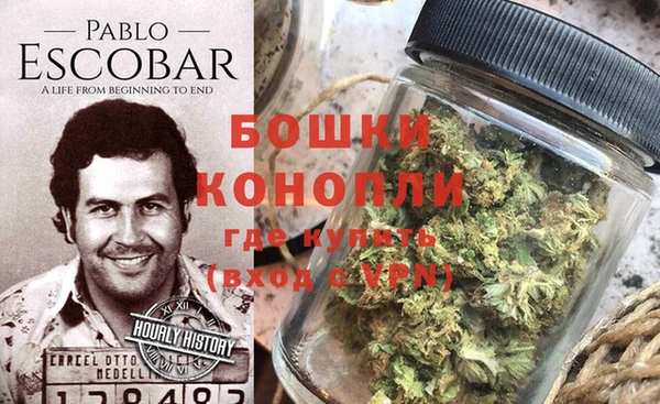 ПСИЛОЦИБИНОВЫЕ ГРИБЫ Няндома