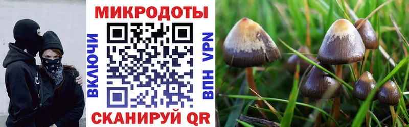 Галлюциногенные грибы мухоморы  Тогучин 
